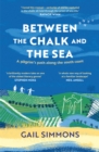 Image for Between the chalk and the sea  : a journey on foot into the past