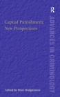 Image for Capital punishment  : new perspectives