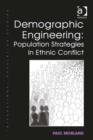 Image for Demographic engineering: population strategies in ethnic conflict