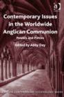 Image for Contemporary issues in the worldwide Anglican communion: powers and pieties
