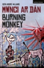 Image for Burning Monkey