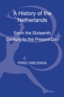 Image for A history of the Netherlands  : from the sixteenth century to the present day