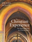 Image for The Christian experience  : an introduction to Christianity
