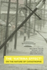 Image for The &#39;Katrina effect&#39;  : on the nature of catastrophe