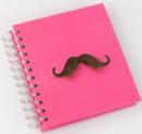 Image for HIPSTER NOTES MOUSTACHE