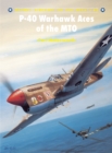 Image for P-40 Warhawk aces of the MTO