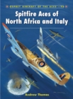 Image for Spitfire aces of North Africa and Italy