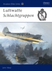 Image for Luftwaffe Schlachtgruppen : 13