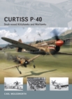Image for Curtiss P-40: snub-nosed Kittyhawks and Warhawks : 11
