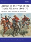 Image for Armies of the War of the Triple Alliance, 1864-70: Paraguay, Brazil, Uruguay &amp; Argentina