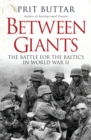 Image for Between giants  : the Battle for the Baltics in World War II