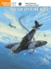 Image for Polish Spitfire Aces