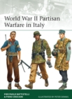 Image for World War II partisan warfare in Italy