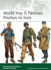 Image for World War II Partisan Warfare in Italy : 207