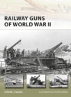 Image for Railway guns of World War II