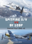 Image for Spitfire II/V vs Bf 109F: Channel Front 1940-42