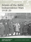 Image for Armies of the Baltic Independence Wars 1918–20