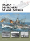 Image for Italian Destroyers of World War II