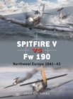 Image for Spitfire V vs Fw 190
