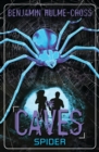 Image for The Caves: Spider