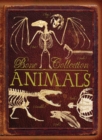 Image for Animals  : bone collection