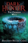 Image for The Crimson Well (Dark Hunter 9)