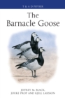 Image for The Barnacle Goose