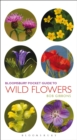 Image for Pocket Guide To Wild Flowers