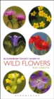 Image for Pocket guide to wild flowers