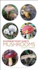 Image for Pocket guide to mushrooms