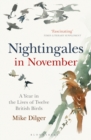 Image for Nightingales in November: a year in the lives of twelve British birds