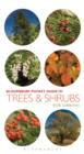 Image for Pocket guide to trees and shrubs