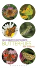 Image for Pocket guide to butterflies
