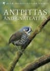 Image for Antpittas and gnateaters