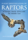 Image for Flight Identification of Raptors of Europe, North Africa and the Middle East