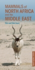 Image for Pocket photo guide to the mammals of North Africa and the Middle East