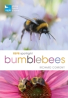 Image for RSPB Spotlight Bumblebees