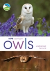 Image for RSPB spotlight owls