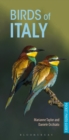 Image for Birds of Italy