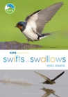 Image for Swifts and swallows