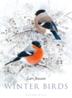 Image for Winter Birds