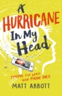 Image for A hurricane in my head: poems for when your phone dies