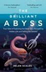 Image for The Brilliant Abyss: True Tales of Exploring the Deep Sea, Discovering Hidden Life and Selling the Seabed
