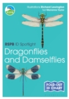 Image for RSPB ID Spotlight - Dragonflies and Damselflies