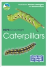 Image for RSPB ID Spotlight - Caterpillars