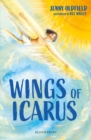 Image for Wings of Icarus