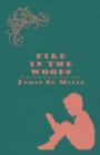 Image for Fire in the Woods