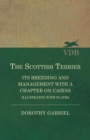 Image for The Scottish Terrier - It&#39;s Breeding and Management With a Chapter on Cairns - Illustrated with plates