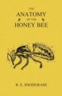 Image for The Anatomy of the Honey Bee
