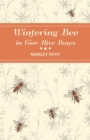 Image for Wintering Bees in Four-Hive Boxes